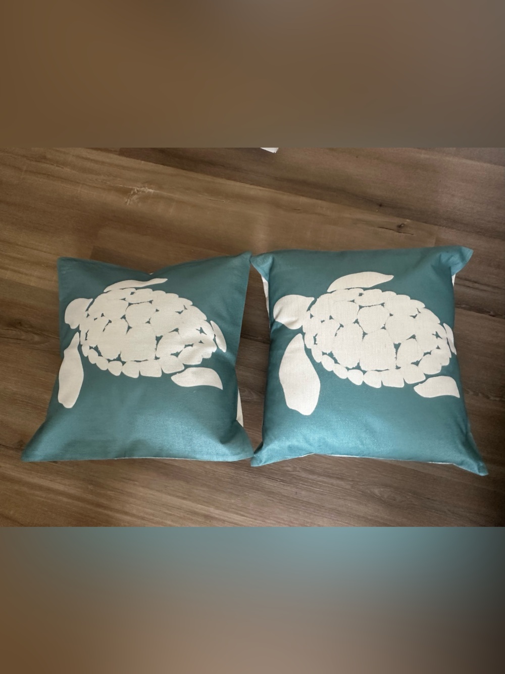 Coastal Turtle Accent Pillow Pair in Teal and White